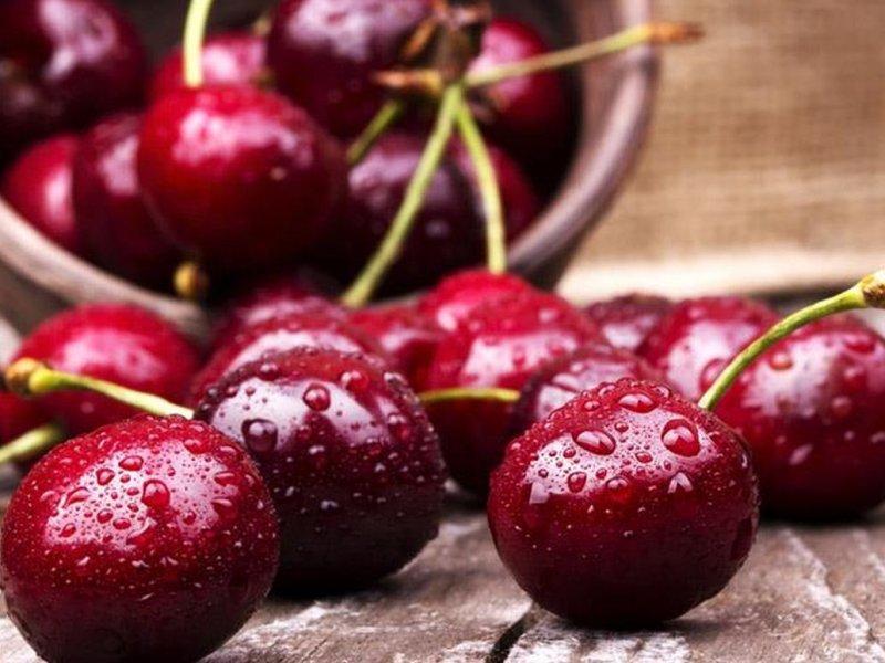 Вишня купить саженцы из питомника в Лабинске